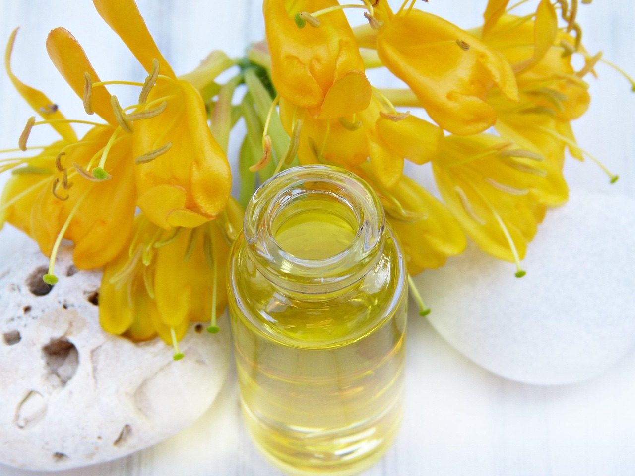 What Does Honeysuckle Smell Like? A Full Scent Profile