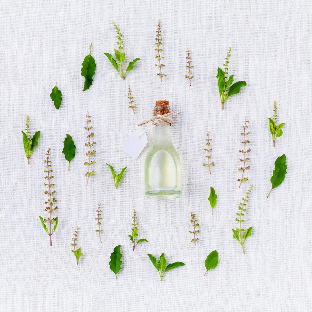 What Is an Absolute? Solvent Extraction Explained for Fragrance Lovers